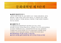[동양정치사상] 문화대혁명과 이데올로기의 혼란-15