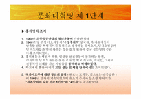 [동양정치사상] 문화대혁명과 이데올로기의 혼란-16