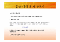 [동양정치사상] 문화대혁명과 이데올로기의 혼란-17