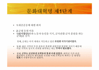 [동양정치사상] 문화대혁명과 이데올로기의 혼란-18