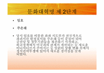 [동양정치사상] 문화대혁명과 이데올로기의 혼란-20