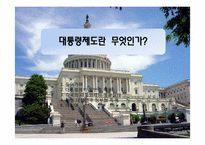 [인간과정치] 대통령제도에 관한 분석-1