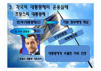 [인간과정치] 대통령제도에 관한 분석-11