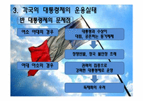 [인간과정치] 대통령제도에 관한 분석-12