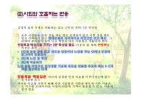 [평생교육개론] 5차원 전면교육 학습법-11