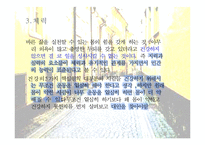 [평생교육개론] 5차원 전면교육 학습법-14