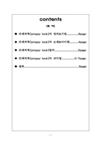 프래피룩 레포트-2