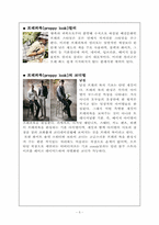 프래피룩 레포트-5