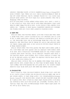 관세동맹을 정리하고 한EU-FTA에 전망을 논함0k(무역학과관세론4D형)-3