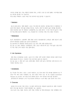 [금융론] XL Capital-4