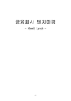 [금융론] 메릴린치-1