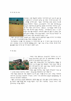 [경영학] 베트남 Vietnam 경영전략 -인구환경-17