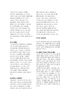[경영사례] `미샤`의 성공사례 분석-10