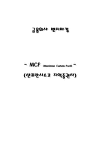 [금융론] 증권사MCF-1