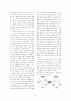 [경영사례] 피자헛의 성공사례 조사 및 성공요인 분석-7