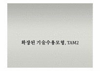 [경영정보시스템] 기술 수용 모형(Technology acceptance Model)-5