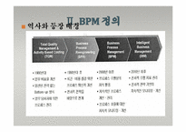 [경영정보시스템] BPM-11