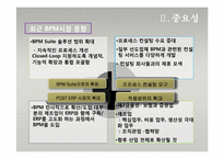 [경영정보시스템] BPM-18