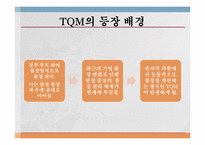 [MIS, 경영정보시스템] 전략 경영 기법, 프로세스 경영기법 및 제약 이론 조사-13