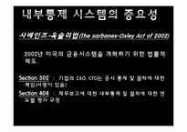 [경영정보시스템] 내부통제시스템-4