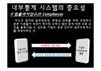 [경영정보시스템] 내부통제시스템-6