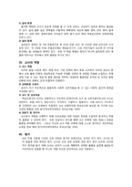 [유아교육] 덕성여대 부속 유치원 상호작용이론에 기초한 활동중심 프로그램-8