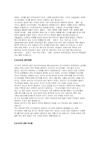 러시아의 문화들-2