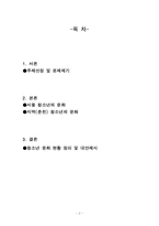서울지역과 춘천지역 청소년 문화 비교-2