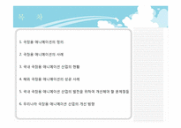 국내 극장용 애니메이션 산업의 문제점과 해결방안-2