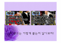 [광고원론] 광고와 TV프로그램의 다양성-2