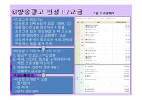 [광고원론] 광고와 TV프로그램의 다양성-6