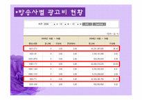 [광고원론] 광고와 TV프로그램의 다양성-9
