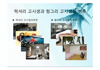 빈곤(저소득)청소년과 여가문화-3