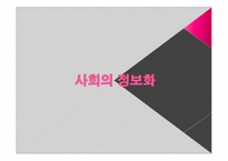 러시아 정보화 레포트-13