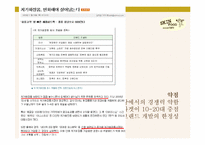 SkinFood 스킨푸드 광고기획서-11