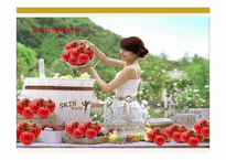 SkinFood 스킨푸드 광고기획서-18