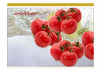 SkinFood 스킨푸드 광고기획서-19