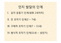 인지이론 레포트-7