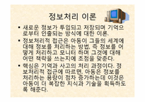 인지이론 레포트-19