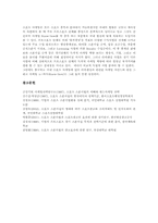 [스포츠스폰서십][스포츠스폰서쉽]스포츠스폰서십의 정의, 스포츠스폰서십의 목적, 스포츠스폰서십과 기업참여, 스포츠스폰서십과 기업PR, 스포츠스폰서십과 기업마케팅, 향후 스포츠스폰서십과 기업의 방향 분석-8