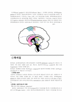 [간호학]기저핵이란-8