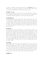 피아제의 인지발달이론-3