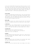 피아제의 인지발달이론-4