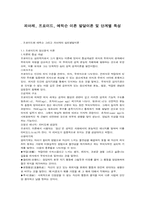 피아제, 프로이드, 에릭슨 이론 발달이론 및 단계별 특성-1