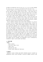샌드위치[1] 레포트-6