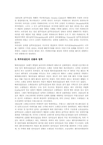 [중남미]중남미(라틴아메리카)의 고대문명, 중남미(라틴아메리카)의 정복 과정, 중남미(라틴아메리카)의 정복이 미친 영향, 중남미(라틴아메리카)의 동질성, 중남미(라틴아메리카)의 문명사적, 철학적 관점 고찰-8