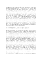 [니카라과][중남미]니카라과(중앙아메리카, 니까라과)의 자연환경, 니카라과(중앙아메리카, 니까라과)의 수도, 니카라과(중앙아메리카, 니까라과)의 역사, 니카라과(중앙아메리카, 니까라과)의 정치와 산디니스타 고찰-4