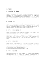 [방송][디지털방송][케이블방송][위성방송][디지털위성방송][디지털][케이블][위성][디지털위성]방송의 역사 고찰과 디지털방송, 케이블방송, 위성방송, 디지털위성방송에 관한 심층 분석-10