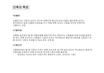 그리스 레포트-11