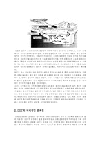 지구환경정보시스템2D)DDT사용과 금지 및 국제적인 문제점0-3